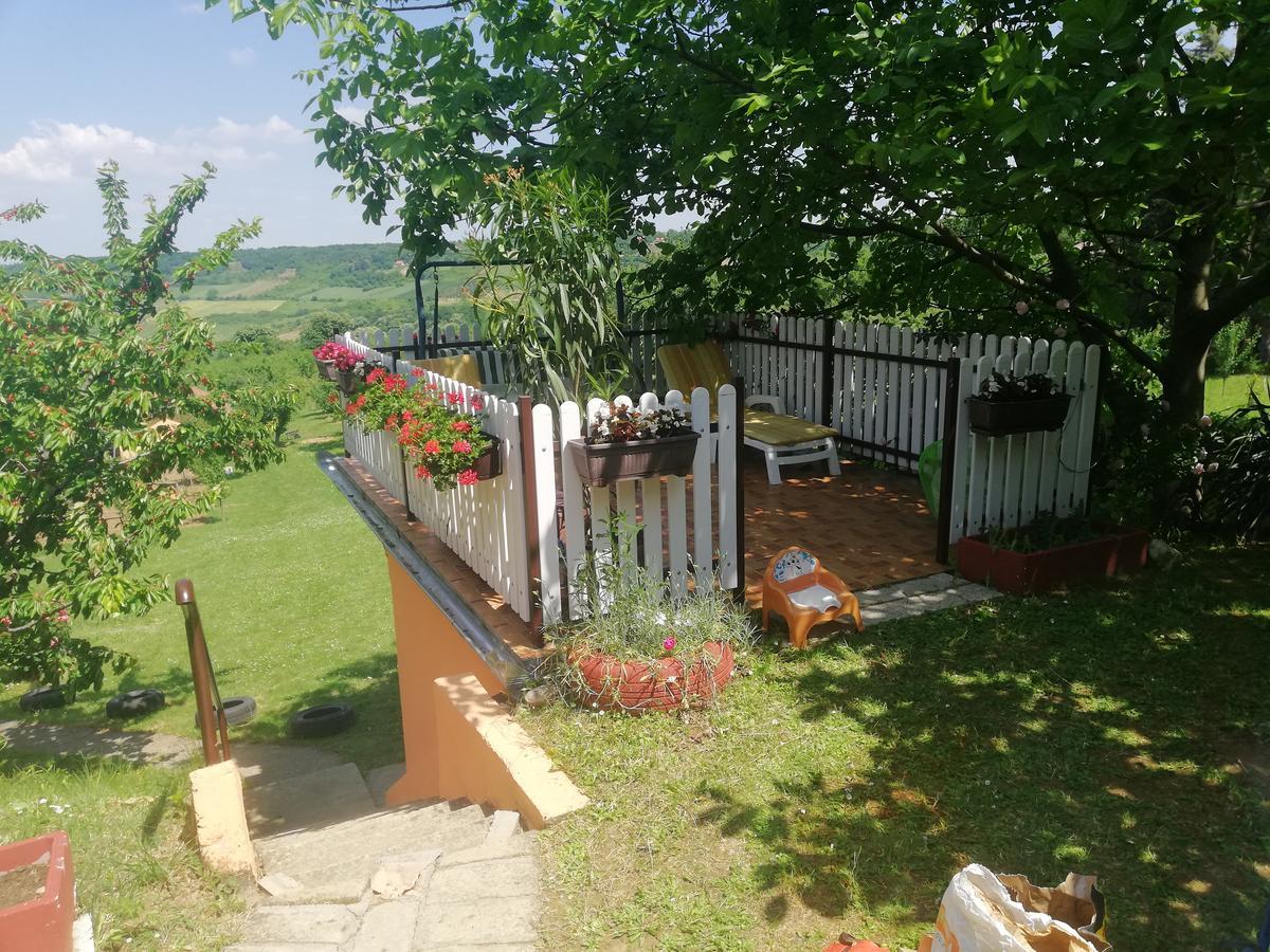 Guest House Jevtovic Сремски-Карловци Экстерьер фото
