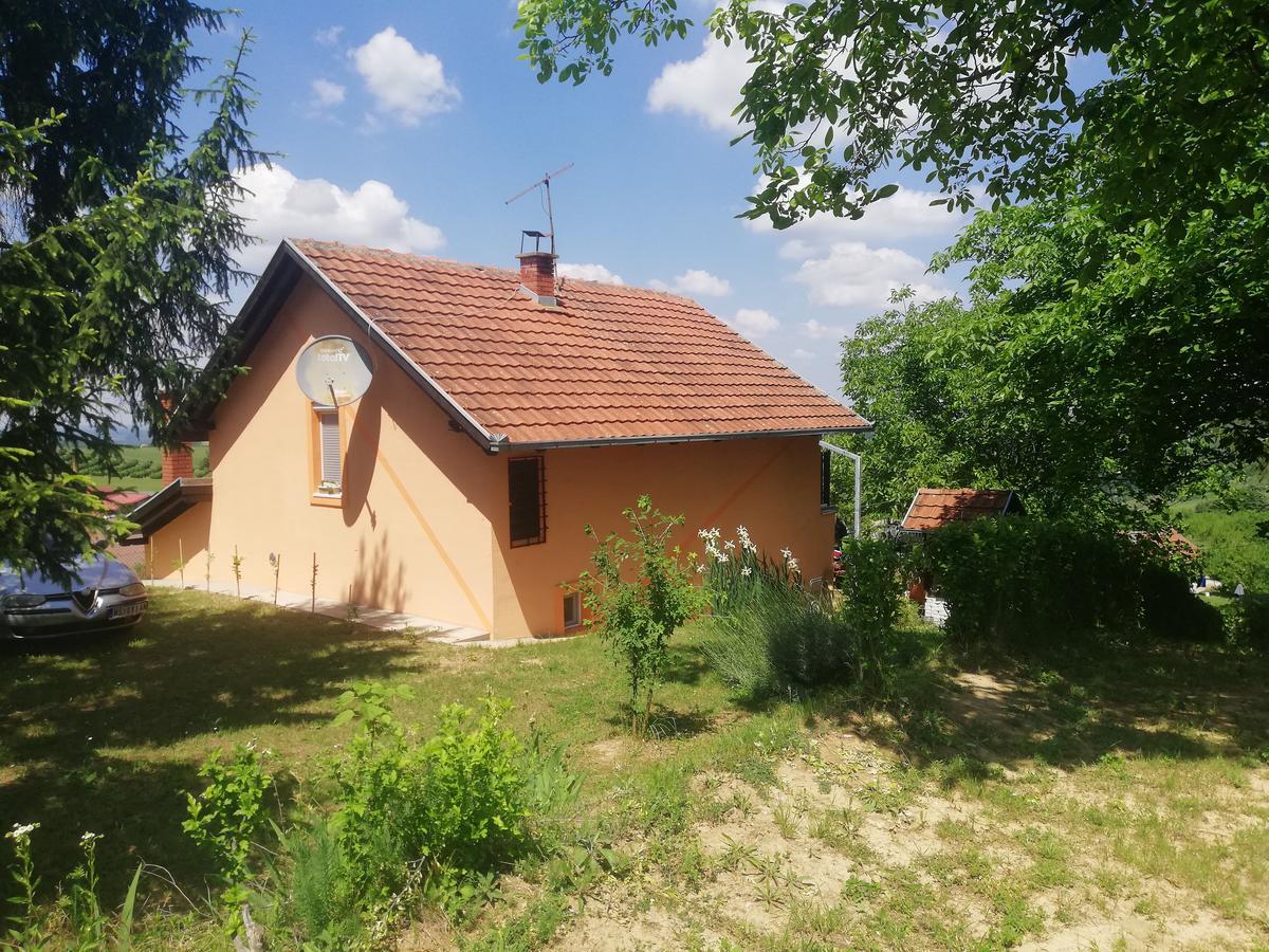 Guest House Jevtovic Сремски-Карловци Экстерьер фото