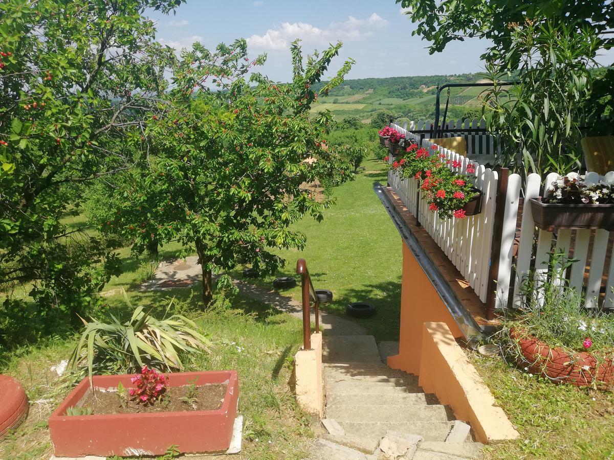 Guest House Jevtovic Сремски-Карловци Экстерьер фото