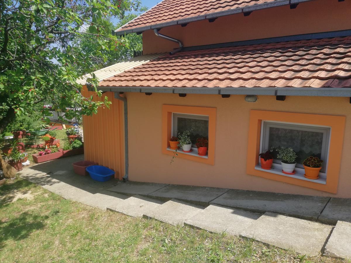Guest House Jevtovic Сремски-Карловци Экстерьер фото
